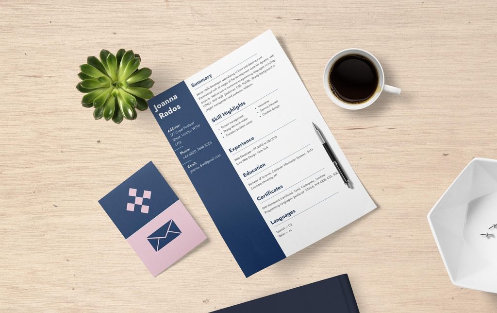 resume, cv, job application, career, professional, flat lay, resume, resume, resume, resume, resume